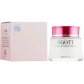 Интенсивно увлажняющий крем для лица Jigott Active Emulsion Cream