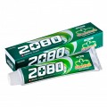 Зубная паста с зелёным чаем Dental Clinic 2080 Green Fresh Toothpaste 120 гр