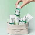 Набор против акне с BHA и центеллой Skin1004 Tea-Trica Travel Kit