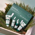 Набор с экстрактом сосны и центеллы Round Lab Pine Calming Cica Trial Kit