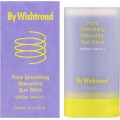 Солнцезащитный стик с бакучиолом By Wishtrend Pore Smoothing Bakuchiol Sun Stick SPF50+ PA++++