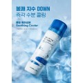Солнцезащитный спрей Round Lab Birch Juice Moisturizing Sun Spray SPF50+ PA++++ 100мл