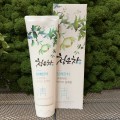 Зубная паста с восточным чаем и перечной мятой Dental Clinic 2080 Cheongeuncha Peppermint, 120 гр