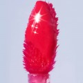 Сияющий глянцевый тинт colorgram Fruity Glass Tint 15 Satisfied Fig