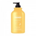 Шампунь для сухих волос с манго EVAS Pedison Institute-Beaute Mango Rich Protein Hair Shampoo, 500 мл