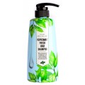 Шампунь для волос с экстрактом мяты Welcos Around Me Peppermint Hair Shampoo (500мл)