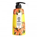 Шампунь для волос c маслом арганы WELCOS Kwailnara Around Me Argan Hair Shampoo 500 мл